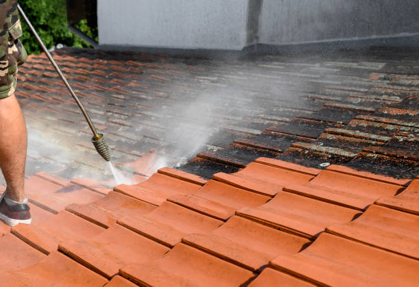 Best Commercial Building Pressure Washing  in Pilot Point, TX