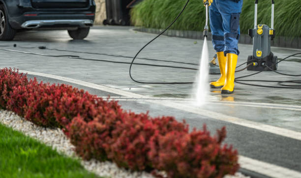 Best Roof Pressure Washing  in Pilot Point, TX