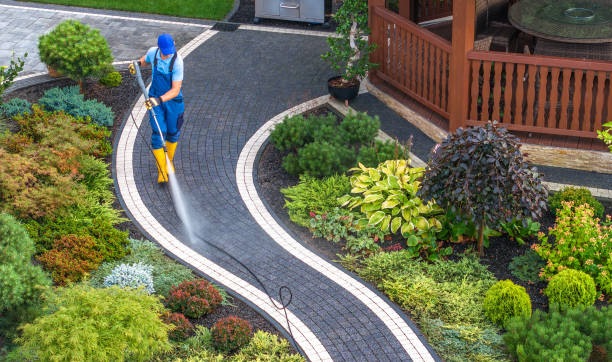 Best Power Washing Near Me  in Pilot Point, TX