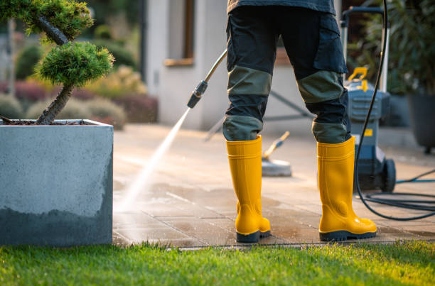 Best Pressure Washing Company Near Me  in Pilot Point, TX